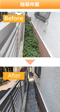 除草作業